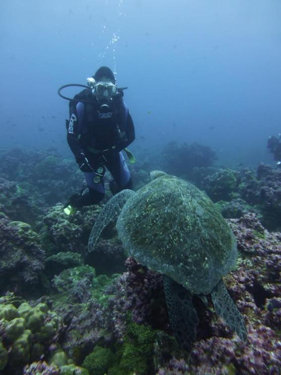 Galapagos snorkler with turtle