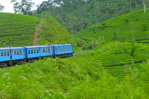 Sri Lanka Train