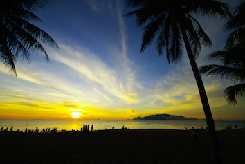 Tropical beach