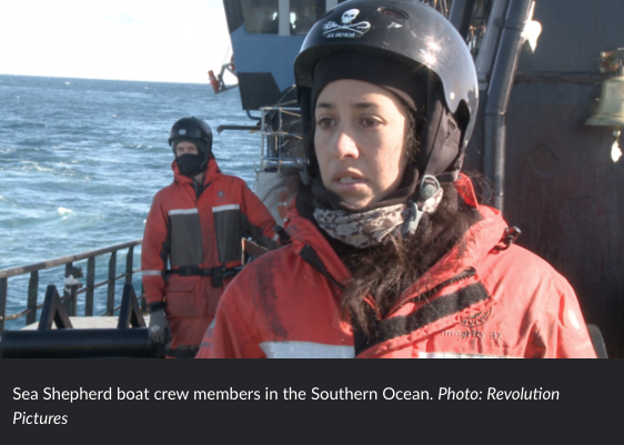 Sea Shepherd documentary